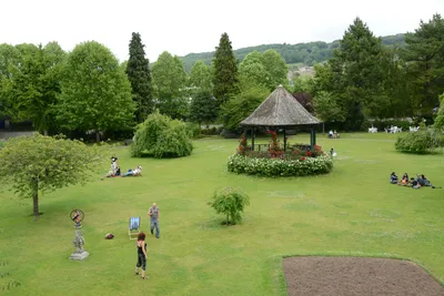 DSC_2535 (Large).JPG